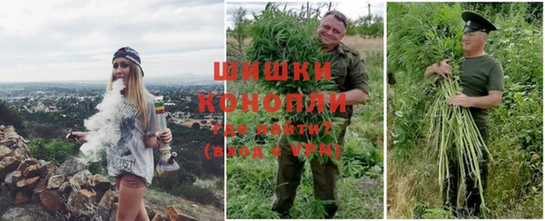 прущая мука Нея